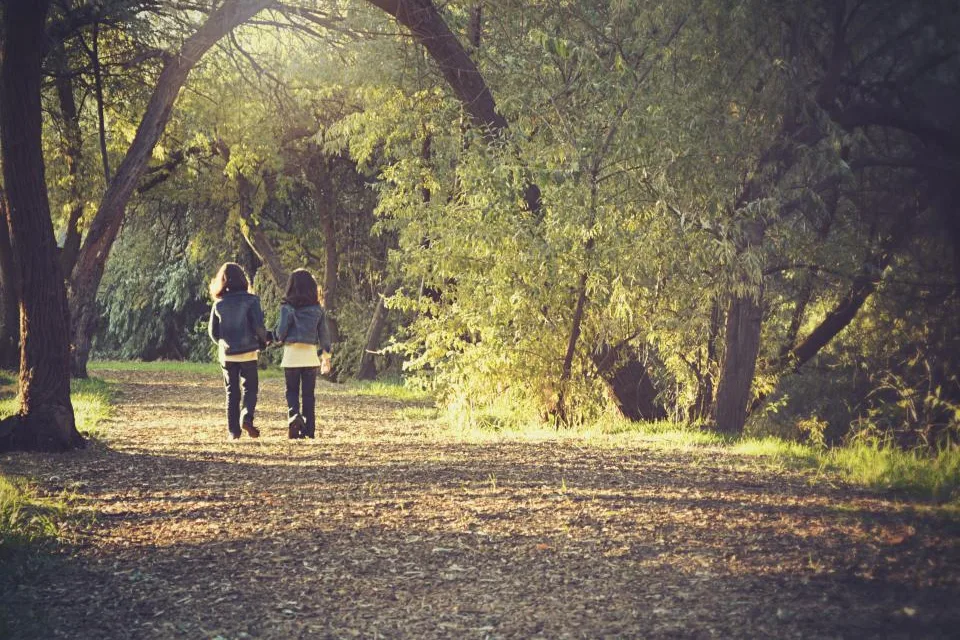 Duas pessoas caminhando num parque arborizado